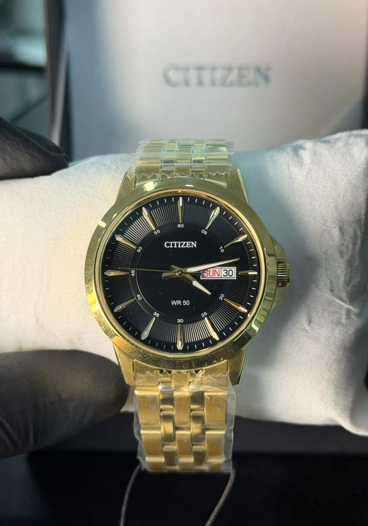 Citizen BF2013-56E